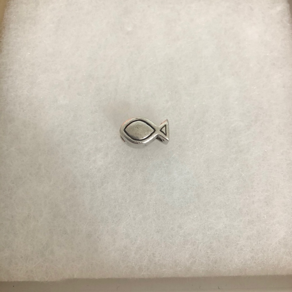 Pandora Ichthys Fish Charm